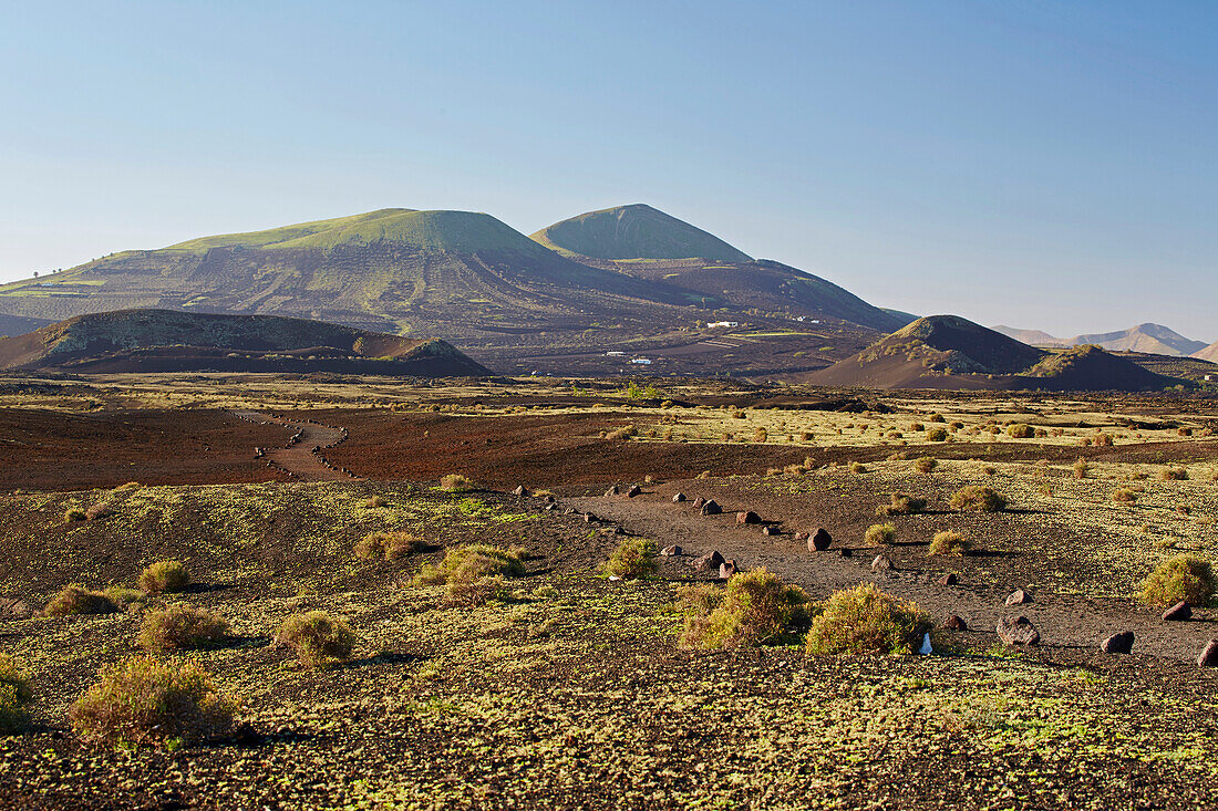 Blick über Lavafelder auf das Weinbaugebiet La Geria, Lanzarote, Kanaren, Kanarische Inseln, Islas Canarias, Spanien, Europa