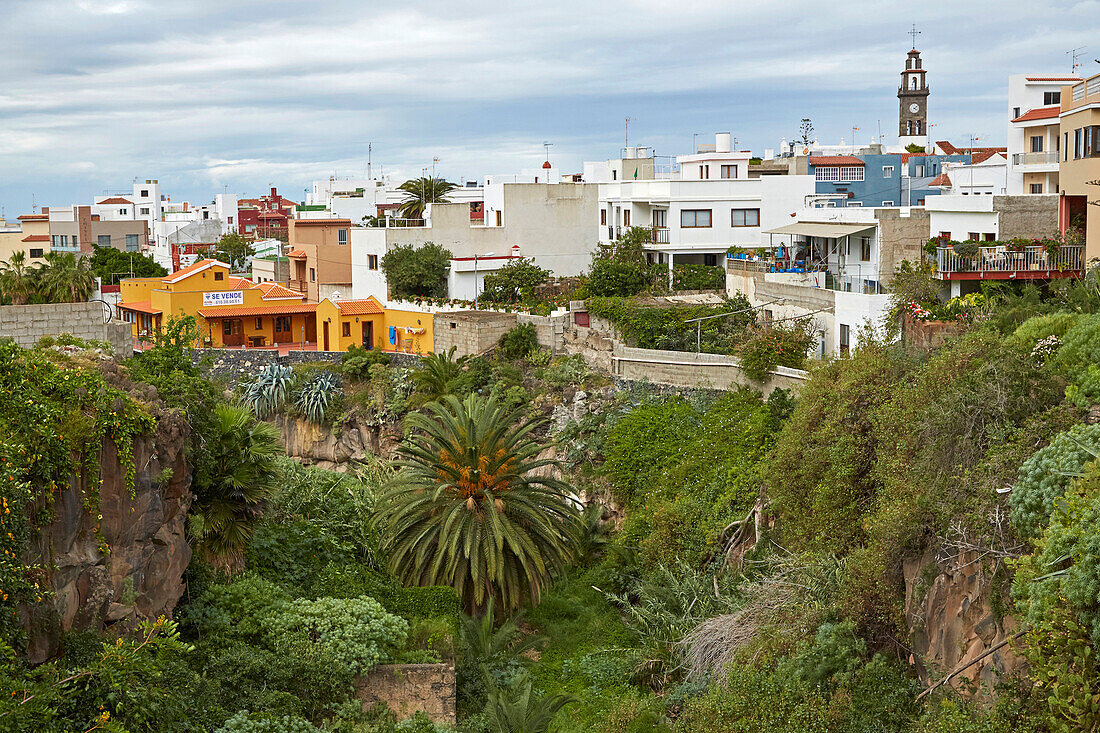 View across luxuriant vegetation at Buenavista del Norte, Tenerife, Canary Islands, Islas Canarias, Atlantic Ocean, Spain, Europe