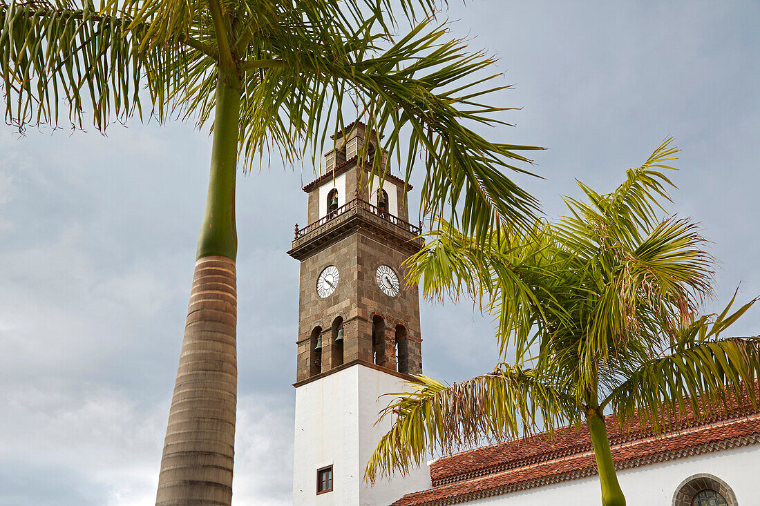 Church and palm trees at Buenavista del Norte, Tenerife, Canary Islands, Islas Canarias, Atlantic Ocean, Spain, Europe