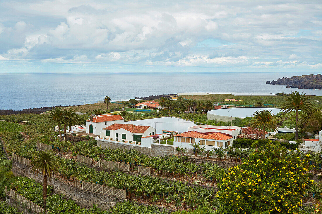 Blick auf Bananenplantagen bei Icod de los Vinos, Teneriffa, Kanaren, Kanarische Inseln, Islas Canarias, Atlantik, Spanien, Europa