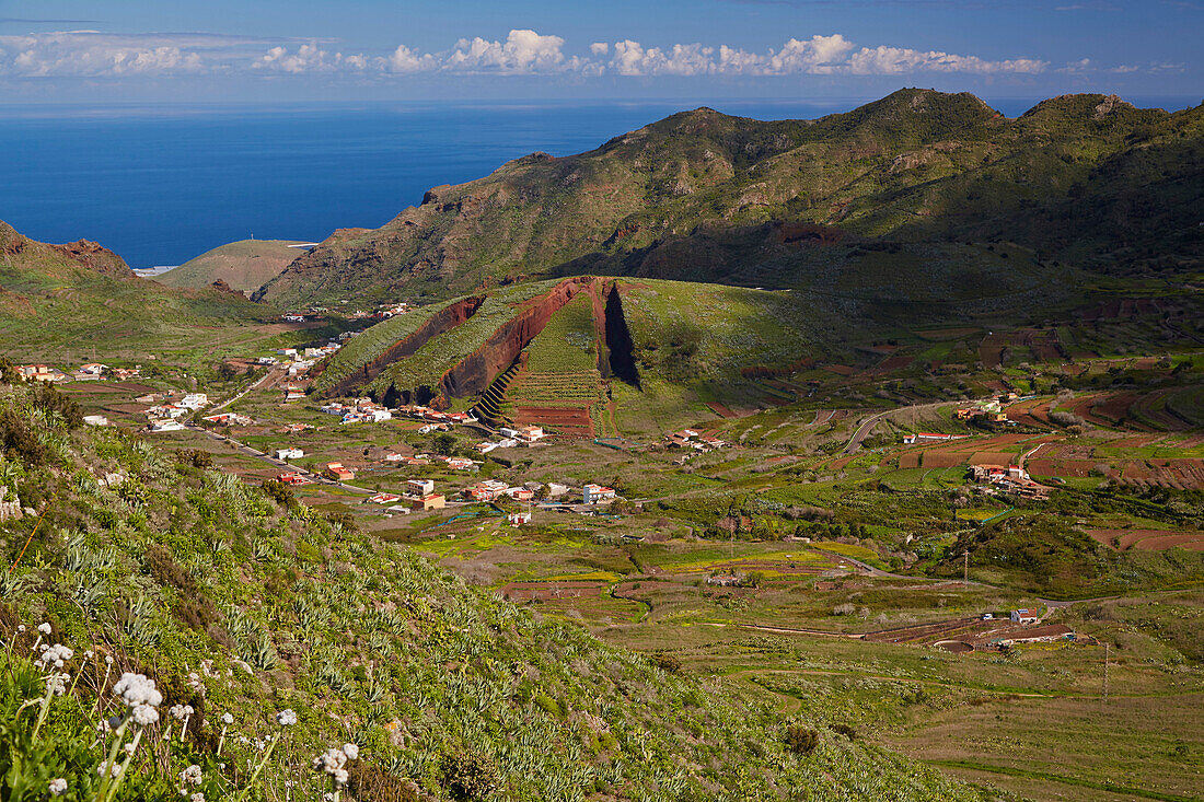 View across luxuriant vegetation at El Palmar, Region of exploitation of volcanic material, Teno mountains, Tenerife, Canary Islands, Islas Canarias, Atlantic Ocean, Spain, Europe