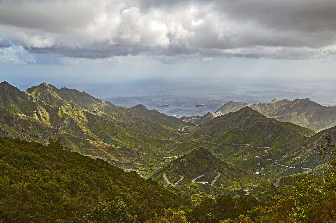 Blick über üppiges Grün bei El Bailadero Richting San Andres, Anaga Gebirge, Teneriffa, Kanaren, Kanarische Inseln, Islas Canarias, Atlantik, Spanien, Europa
