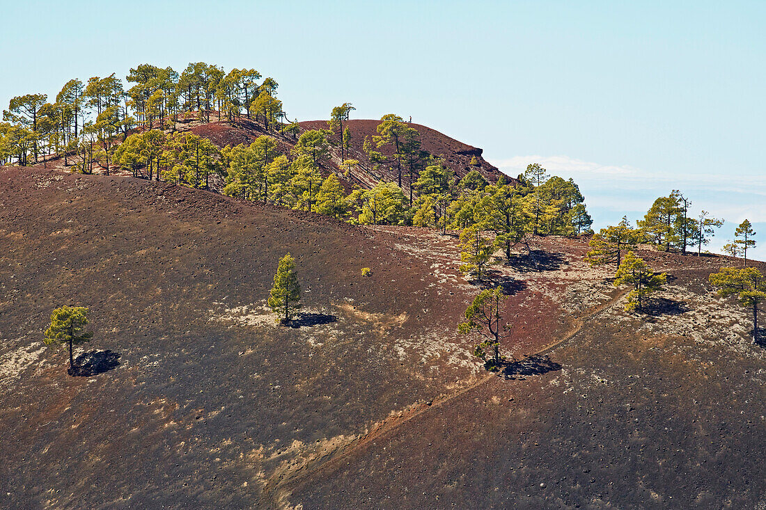 Montana Samara, Parque Nacional del Teide, Natural Heritage of the World, Tenerife, Canary Islands, Islas Canarias, Spain, Europe