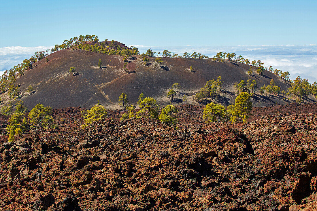 Montana Samara, Parque Nacional del Teide, Natural Heritage of the World, Tenerife, Canary Islands, Islas Canarias, Spain, Europe