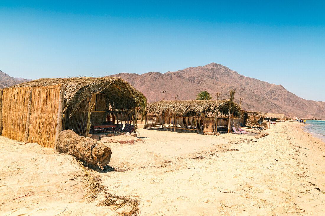 Straw huts for accommodation on beach during daytime, Nuweiba, Southern Sinai, Egypt