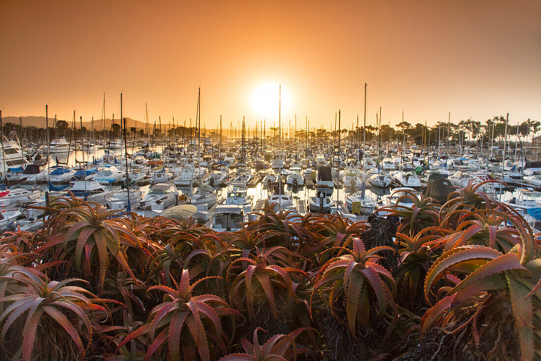 View of Dana Point marina at sunset, California, USA
