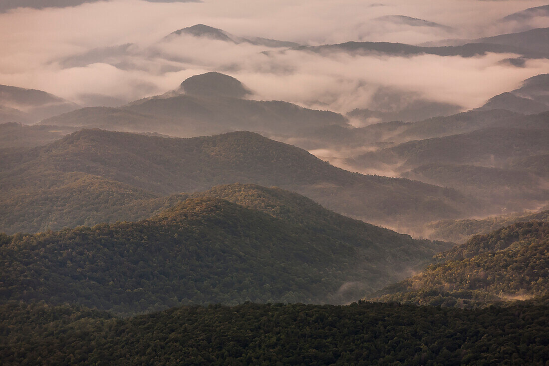 Aerial view of forested hills and Grandfather Mountain shrouded in morning fog, Linville, North Carolina, USA