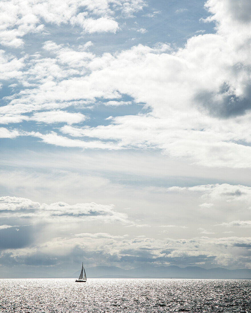 Sailboat sailing on sea, Vancouver, British Columbia, Canada
