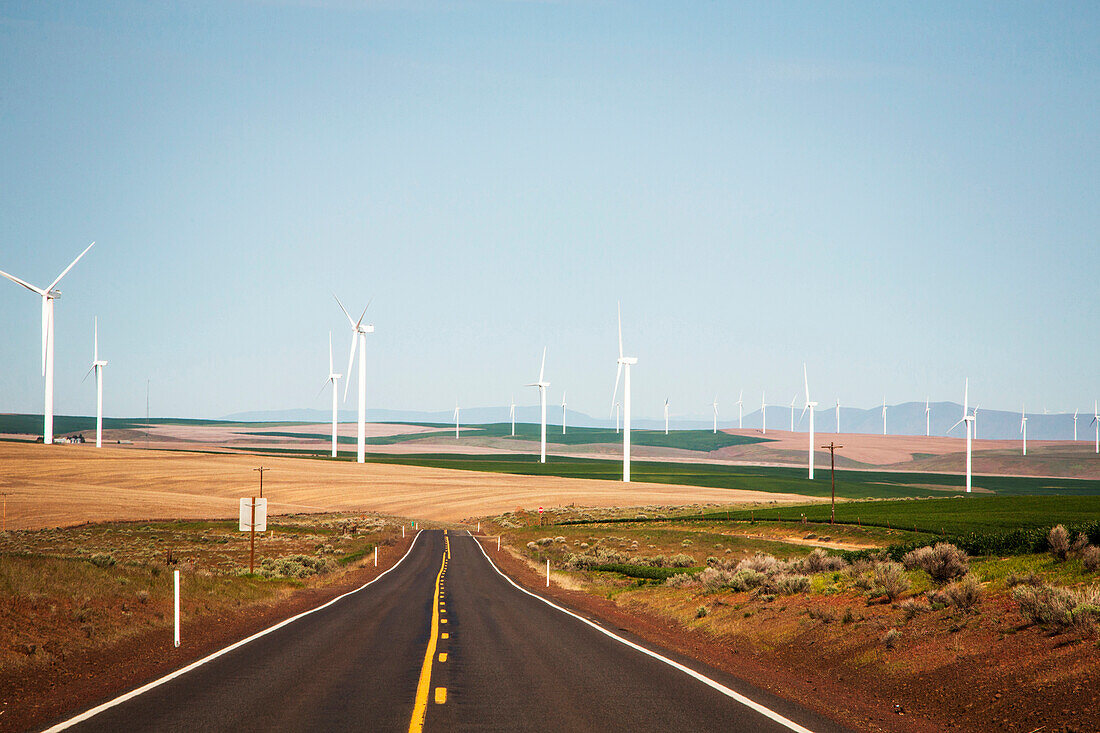 Clear sky over empty countryside highway in front of wind farm, Oregon, USA