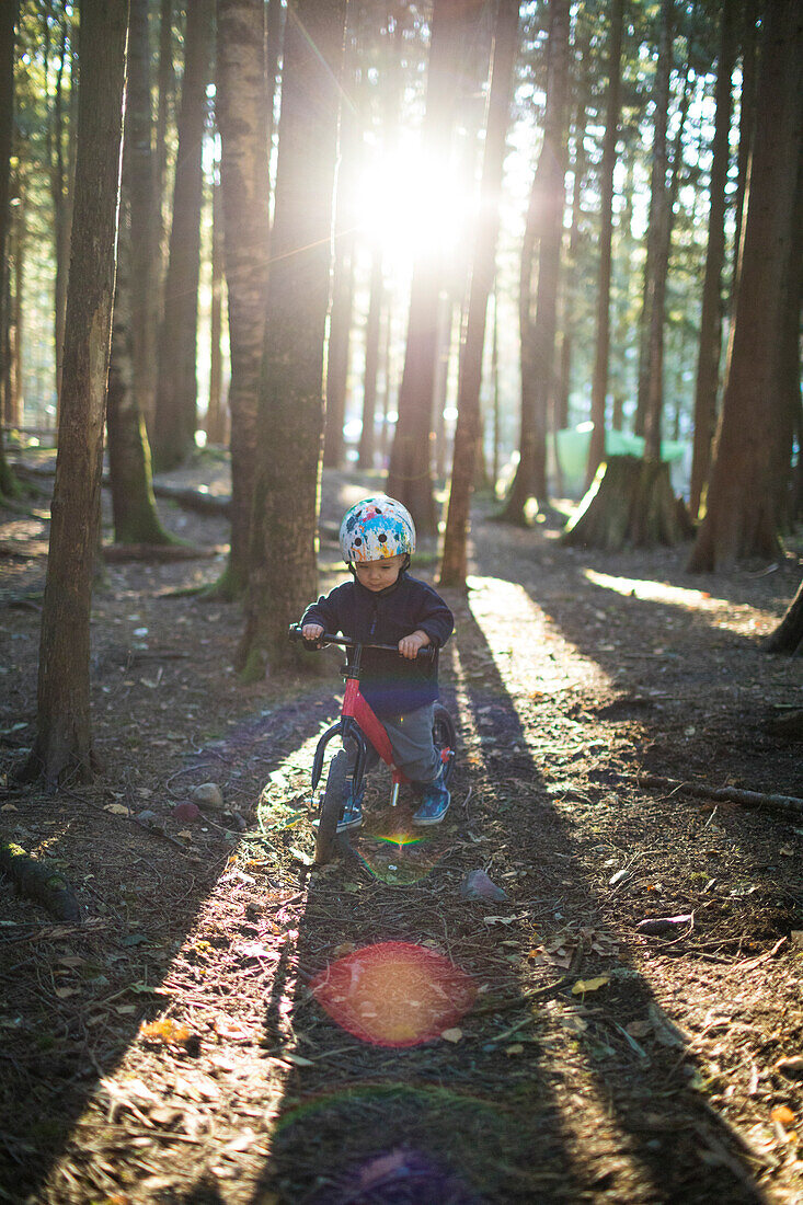Baby boy riding children's bike in forest, Harrison Hot Springs, British Columbia, Canada
