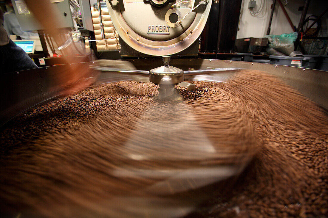 Lots of coffee beans in roaster, Chelsea, Manhattan, New York City, USA