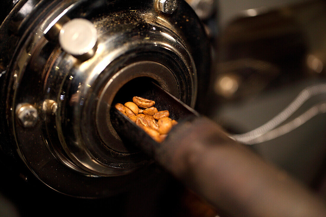 Close up of roasted coffee beans inside machine, Chelsea, Manhattan, New York City, USA