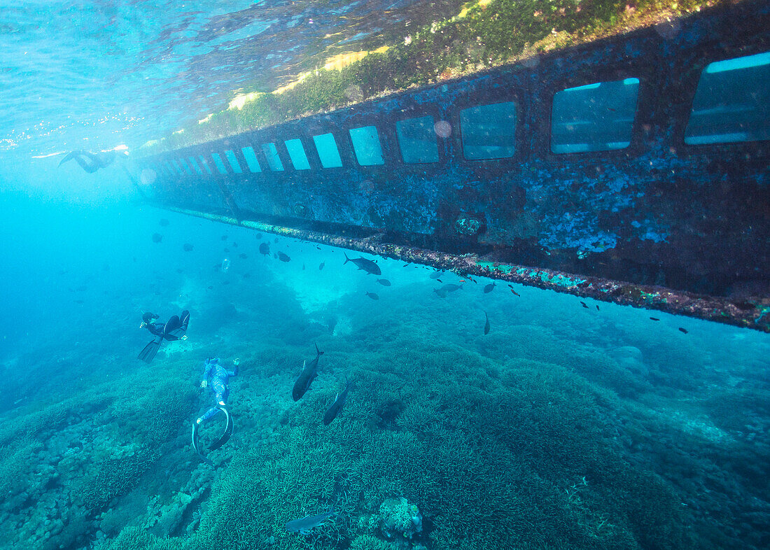 Sunken ship and free divers underwater, Nusa Penida, Bali, Indonesia