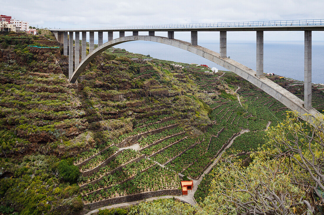 Puente de Los Tilos, längaste Bogenbrücke Spaniens, Barranco de Aguas, Schlucht, bei Los Sauces, San Andres y Sauces, UNESCO Biosphärenreservat, La Palma, Kanarische Inseln, Spanien, Europa