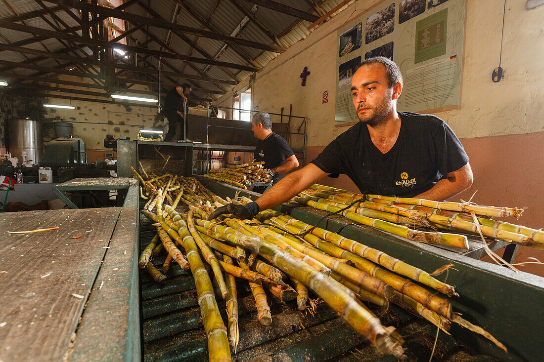 sugar cane press, rum factory, worker, man, near Puerto Espindola, east coast, Atlantik, near San Andres, San Andres y Sauces, UNESCO Biosphere Reserve, La Palma, Canary Islands, Spain, Europe