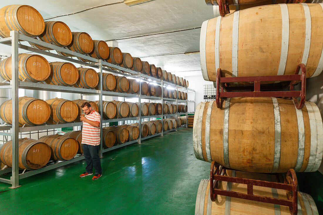 rum factory, man, tasting, near Puerto Espindola, east coast, Atlantik, near San Andres, San Andres y Sauces, UNESCO Biosphere Reserve, La Palma, Canary Islands, Spain, Europe