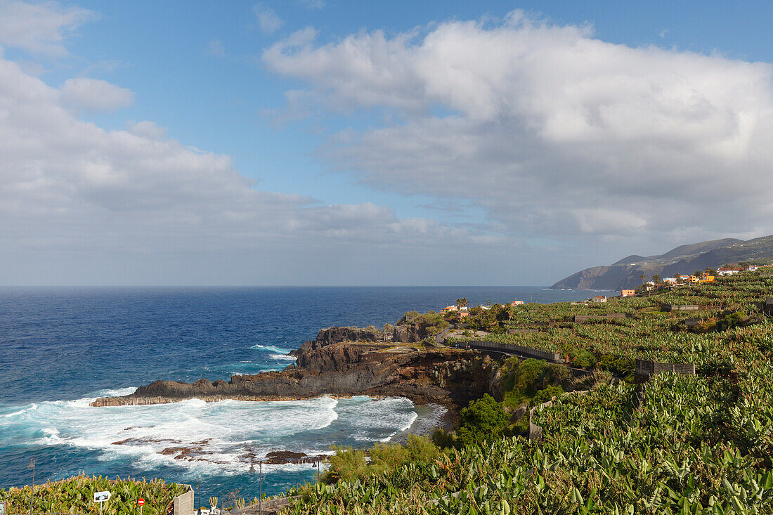 banana plantations, San Andres, village, east coast, Atlantik, San Andres y Sauces, UNESCO Biosphere Reserve, La Palma, Canary Islands, Spain, Europe