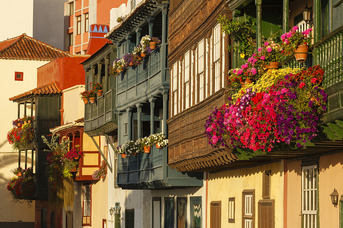 Balkonhäuser, Balkone mit Blumen, Avenida Maritima, Uferpromenade, Santa Cruz de La Palma, Hauptstadt der Insel, UNESCO Biosphärenreservat, La Palma, Kanarische Inseln, Spanien, Europa