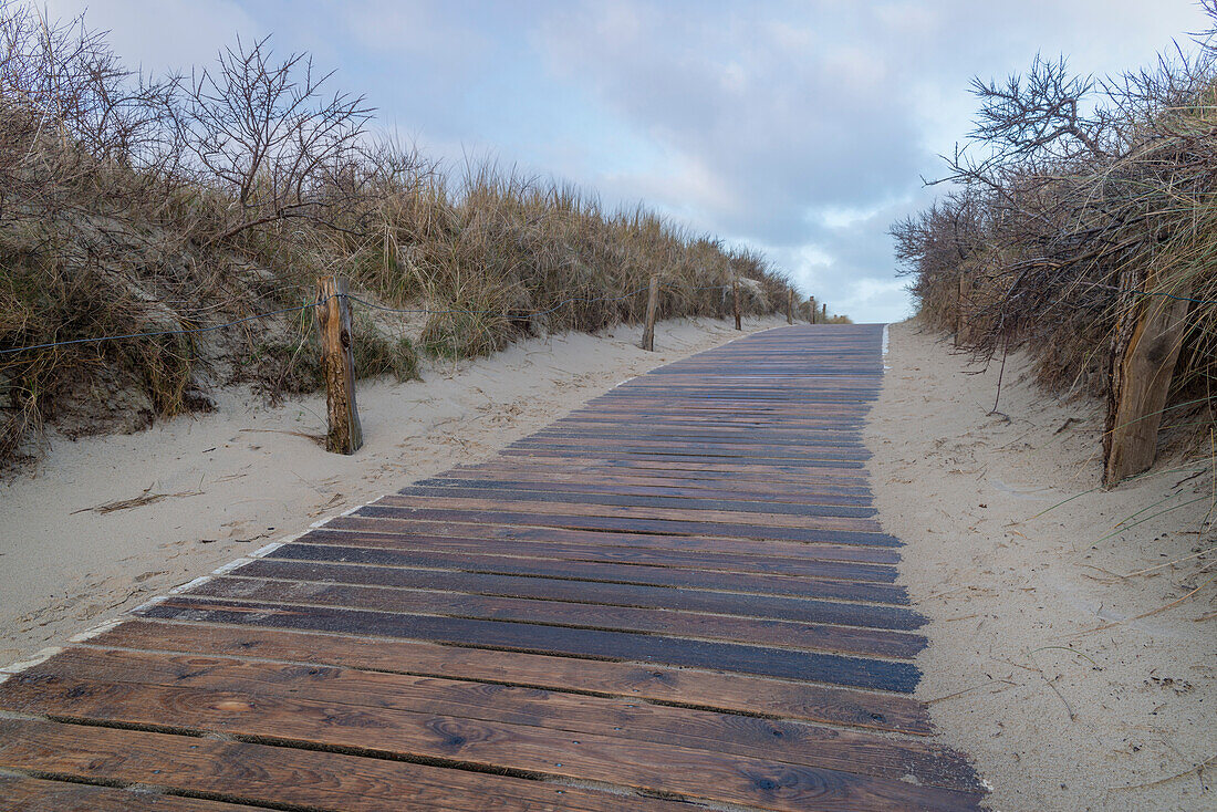 Footpath, Dune, Langeoog, North Sea, East Frisian Islands, East Frisia, Lower Saxony, Germany, Europe