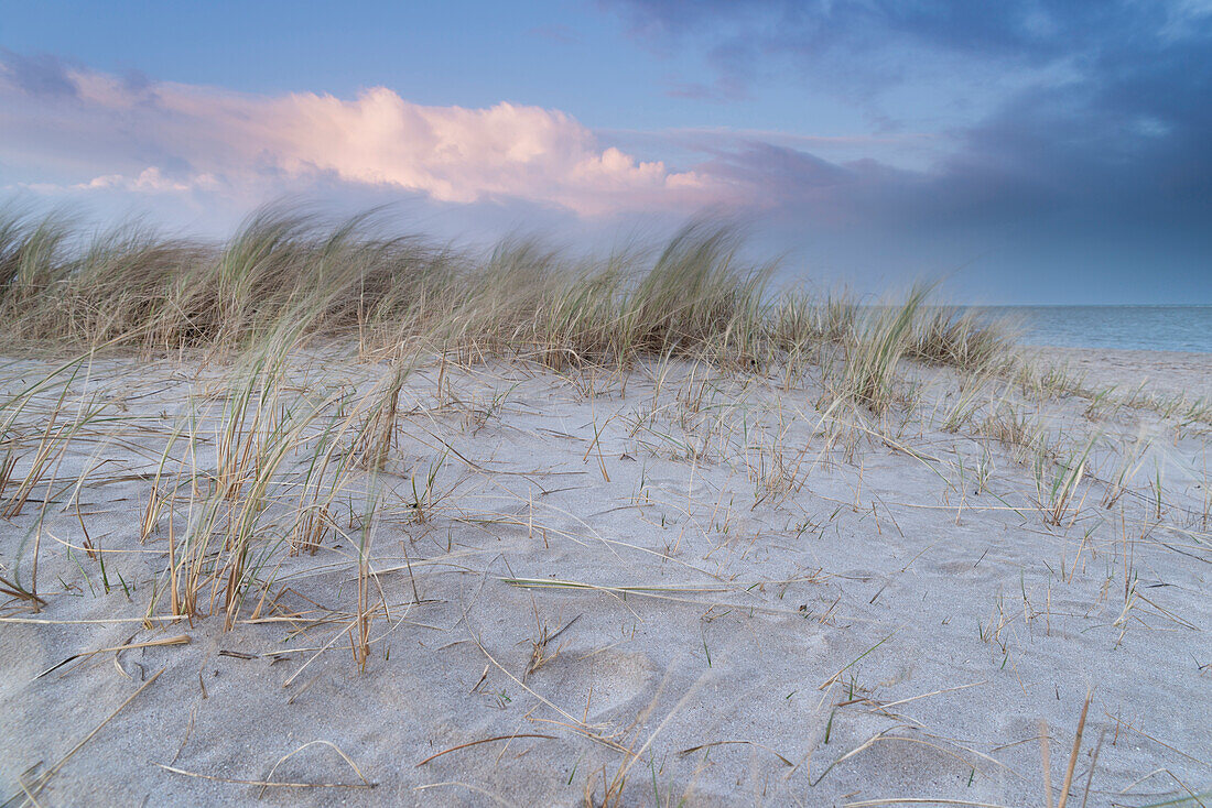 Dune, Beach, Dusk, Schillig, Wangerland, North Sea, Friesland District, Lower Saxony, Germany, Europe