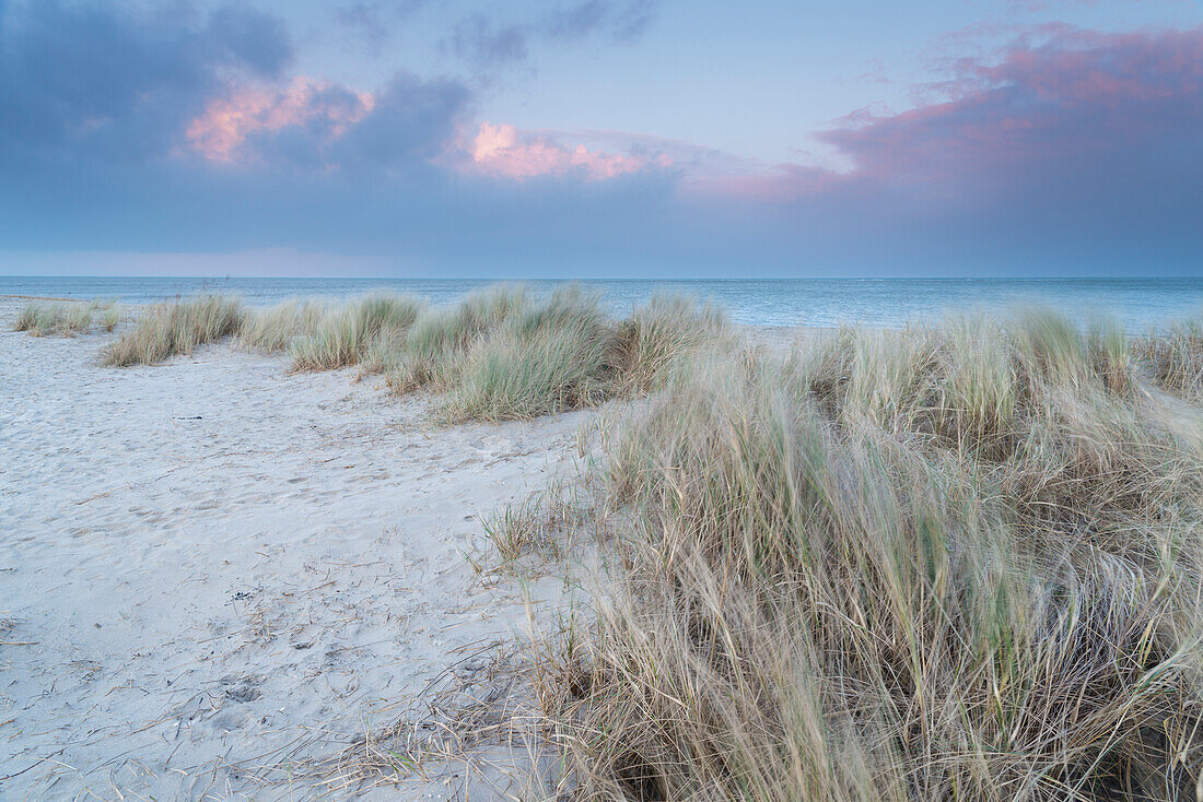 Dune, Beach, Dusk, Schillig, Wangerland, North Sea, Friesland District, Lower Saxony, Germany, Europe