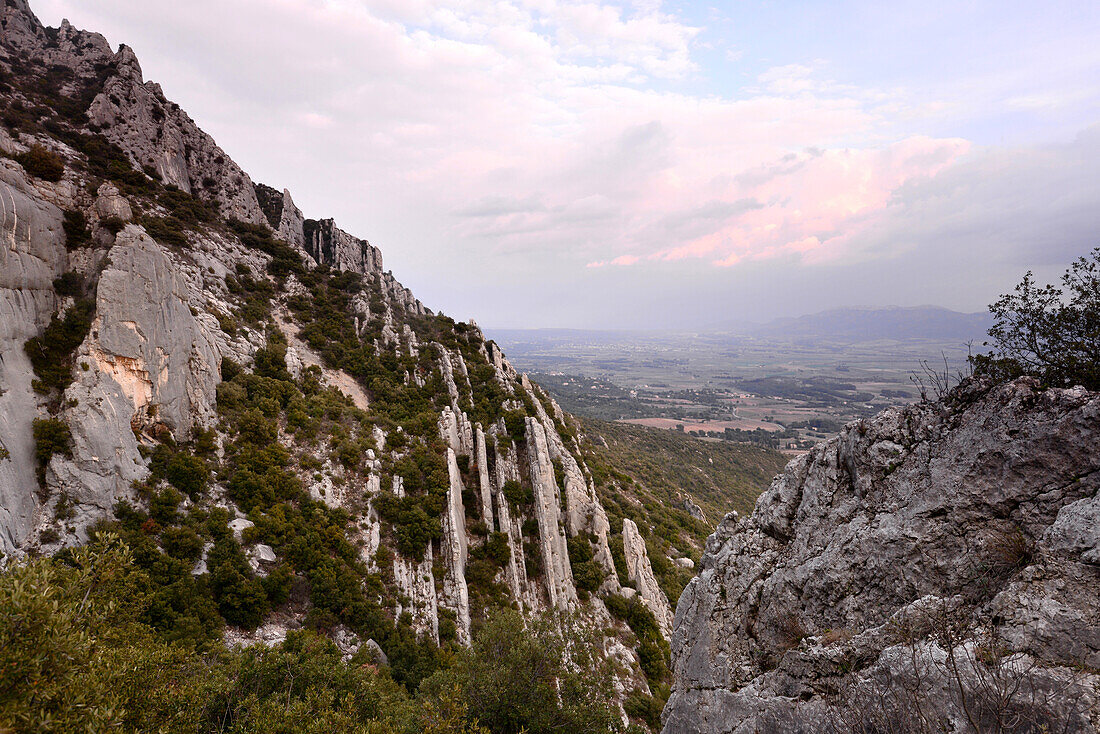 unter dem Montagne Ste. Victoire bei Puyloubier, Provence, Frankreich