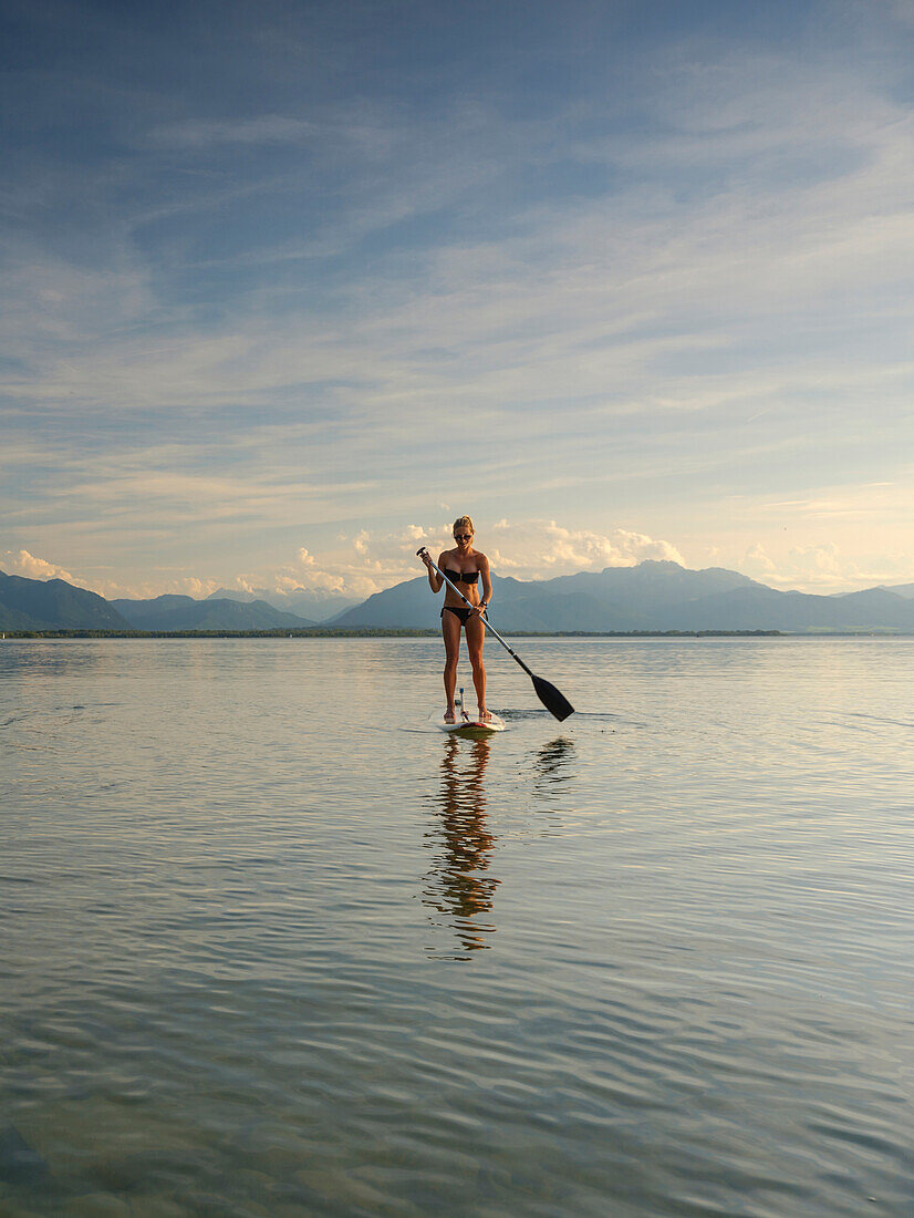 A young woman doing stand-up paddling on the Chiemsee, in the background the Chiemgau Alps, Chieming, Upper Bavaria, Germany