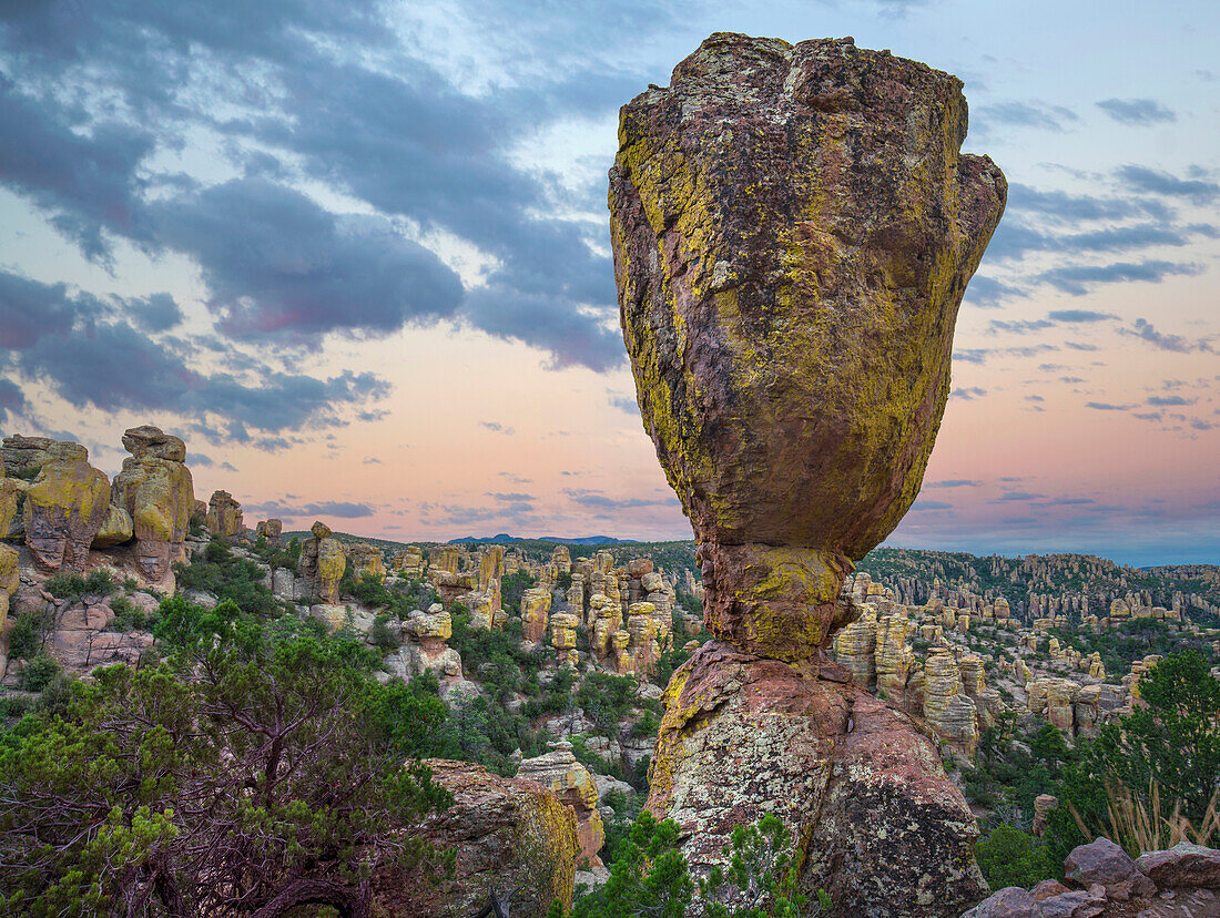 Hoodoos in the Grotto, Echo Canyon, Chiricahua National Monument, Arizona