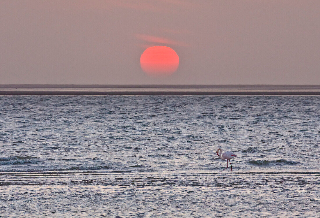 Sun setting over ocean, Walvis Bay, Namibia