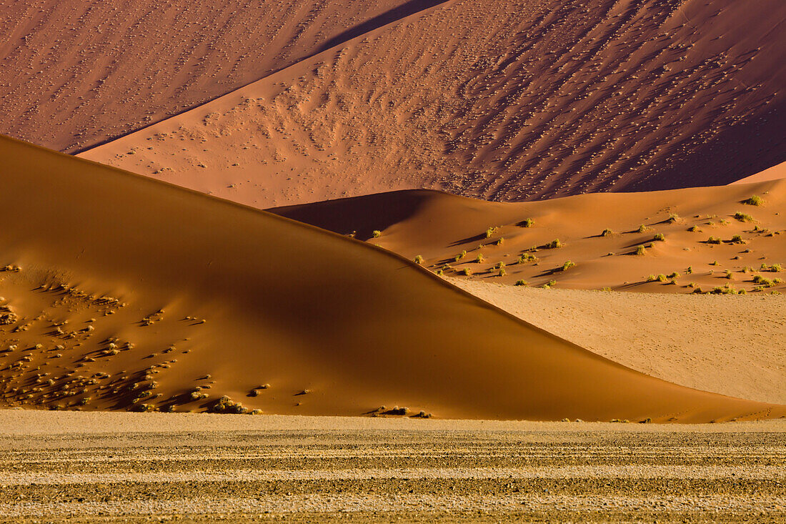 Sand dunes, Sossusvlei, Namib-Naukluft National Park, Namibia