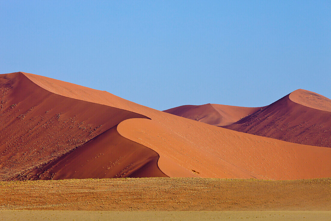 Sand dunes, Sossusvlei, Namib-Naukluft National Park, Namibia