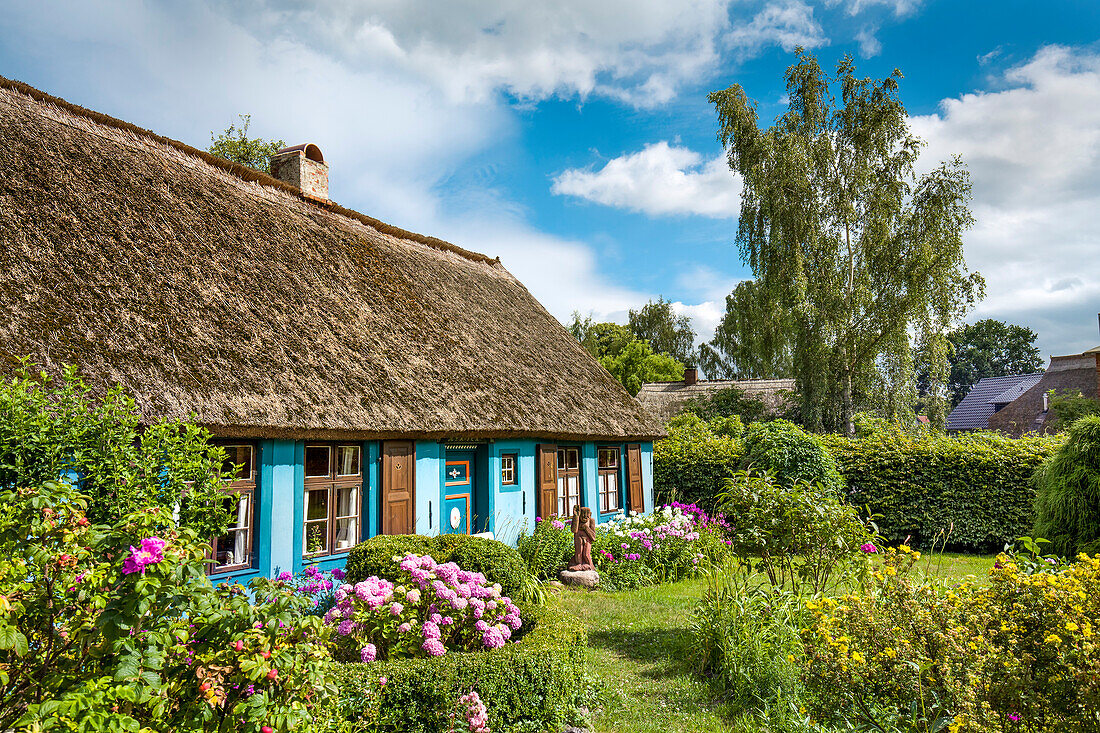 Thatched house, Warthe, Lieper Winkel, Usedom island, Mecklenburg-Western Pomerania, Germany