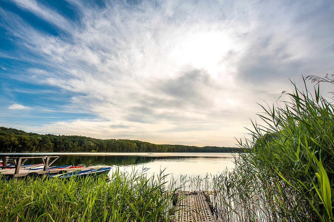Lake Wolgast, Usedom island, Mecklenburg-Western Pomerania, Germany