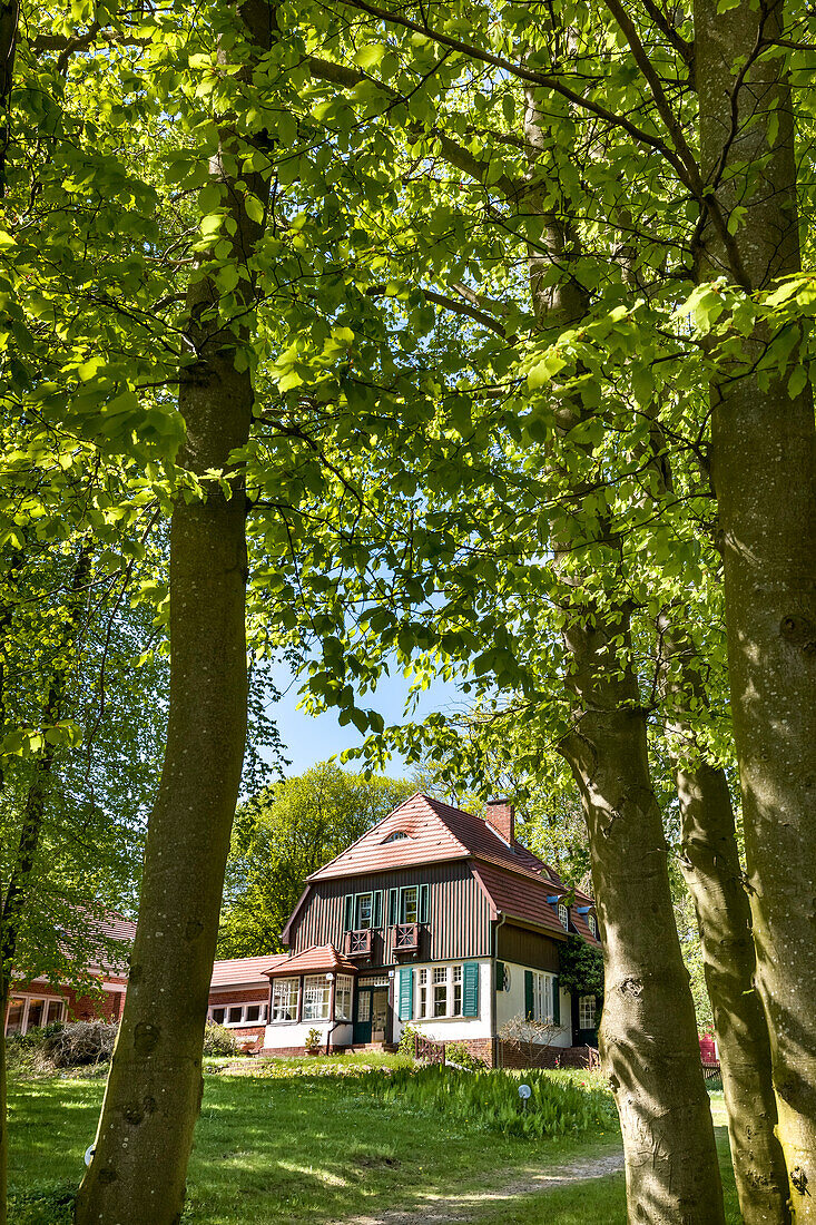 Gerhart-Hauptmann-Haus, Kloster, Insel Hiddensee, Mecklenburg-Vorpommern, Deutschland