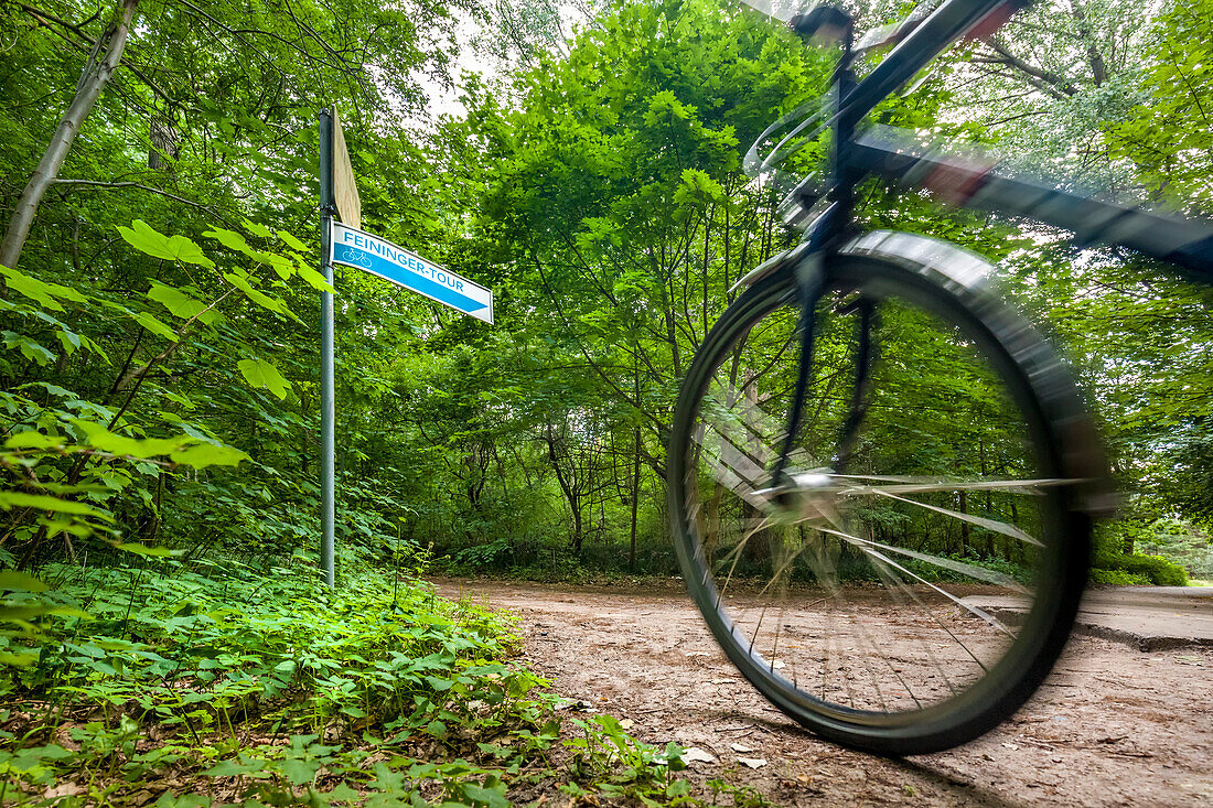 Lyonel-Feininger-cycling trail, Usedom island, Mecklenburg-Western Pomerania, Germany