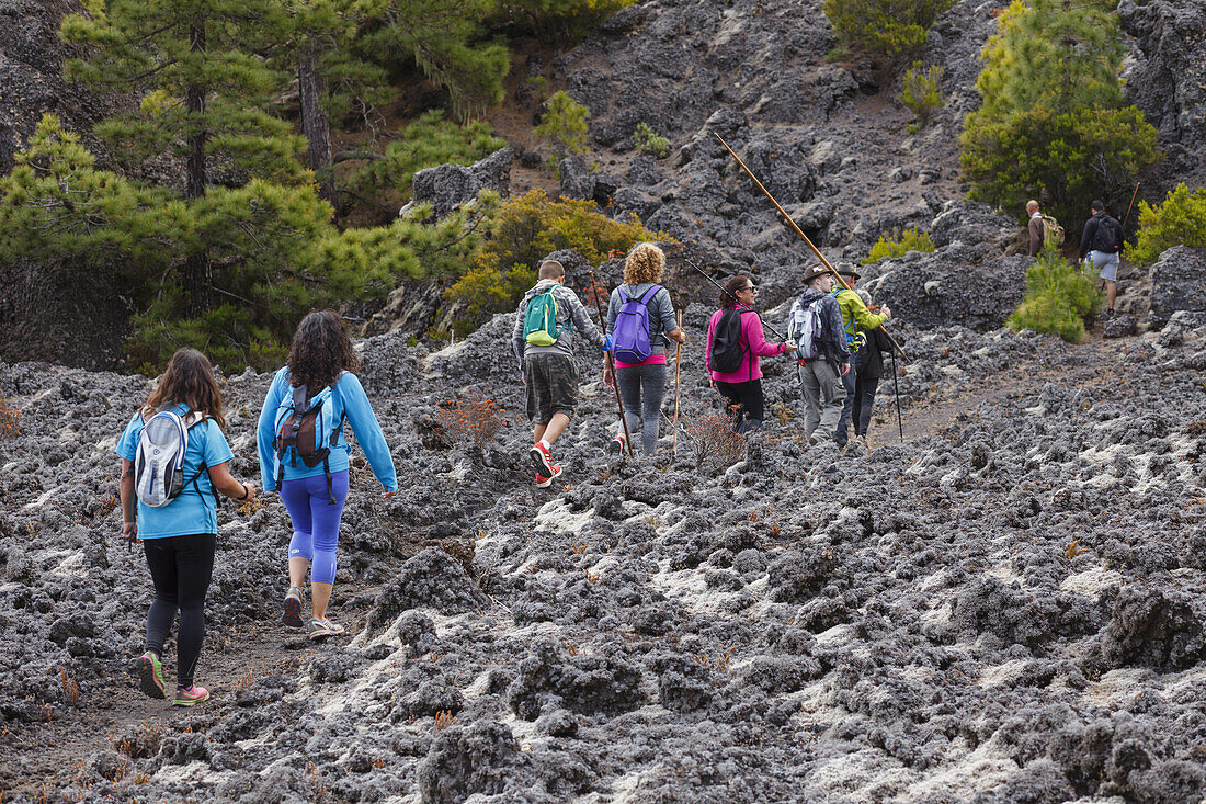 hiking tour along PR LP 14, hiking trail near Montana Quemada, volcanic crater, Llano del Jable, Parque Natural de Cumbre Vieja, UNESCO Biosphere Reserve, La Palma, Canary Islands, Spain, Europe