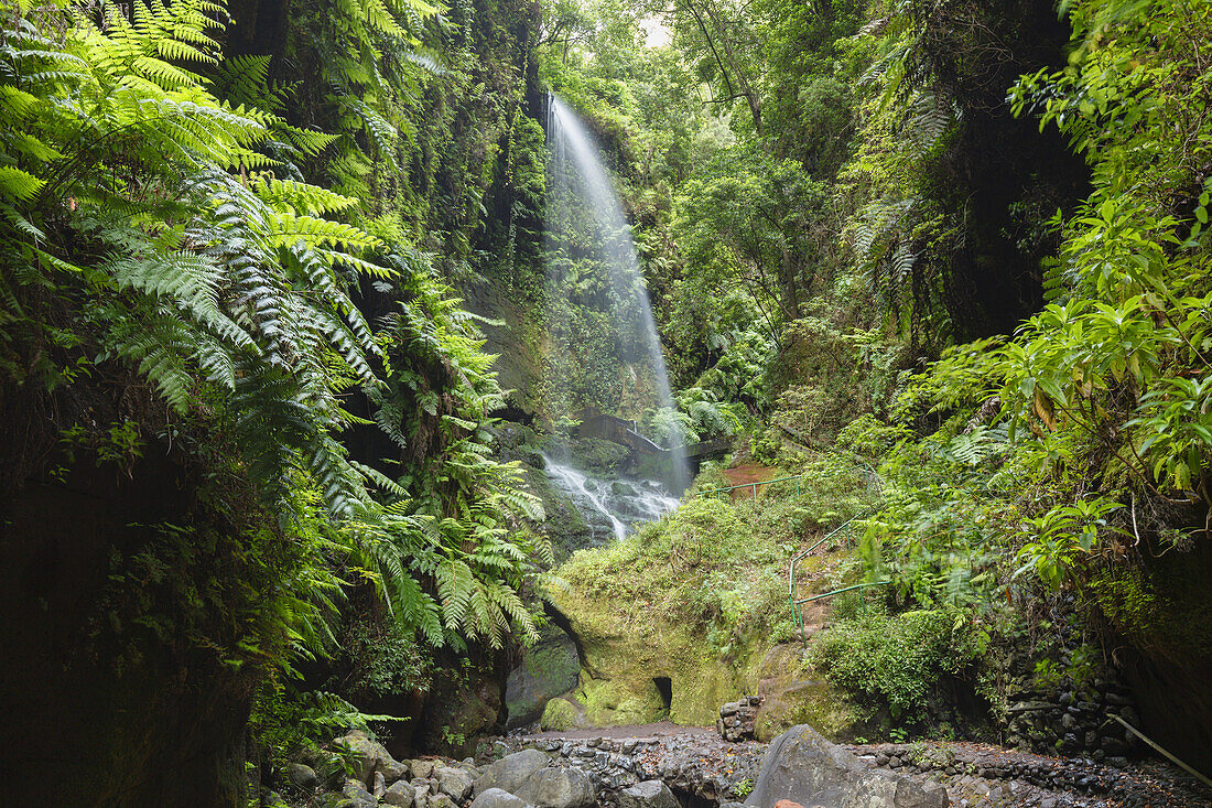 Cascada de los Tilos, Wasserfall, Barranco del Agua, Schlucht, Lorbeerwald, UNESCO Biosphärenreservat, La Palma, Kanarische Inseln, Spanien, Europa