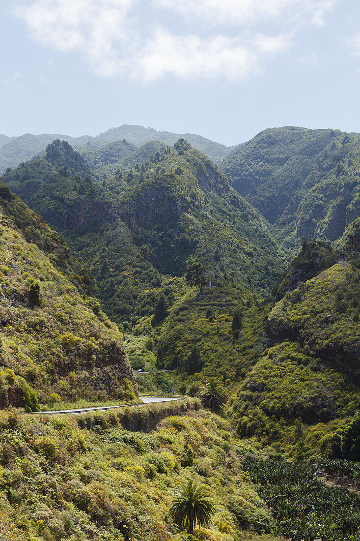 Lomo de Tabacal, Barranco de San Juan, gorge, near San Juan, east slope of Caldera de Taburiente, Parque Natural de las Nieves, UNESCO Biosphere Reserve, La Palma, Canary Islands, Spain, Europe