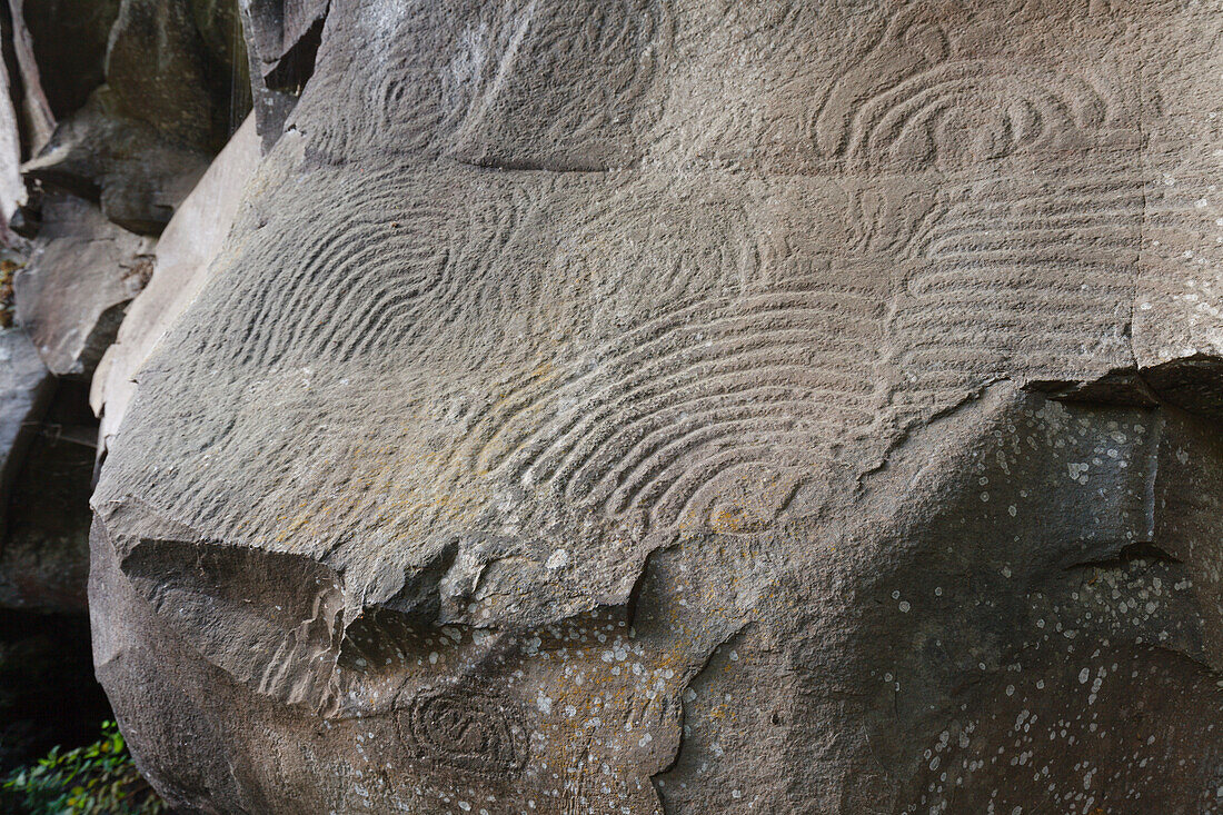 Petroglyphen, Parque Cultural La Zarza, Kulturpark La Zarza, Kunst der Ureinwohner, prähistorisch, bei La Mata, UNESCO Biosphärenreservat, La Palma, Kanarische Inseln, Spanien, Europa
