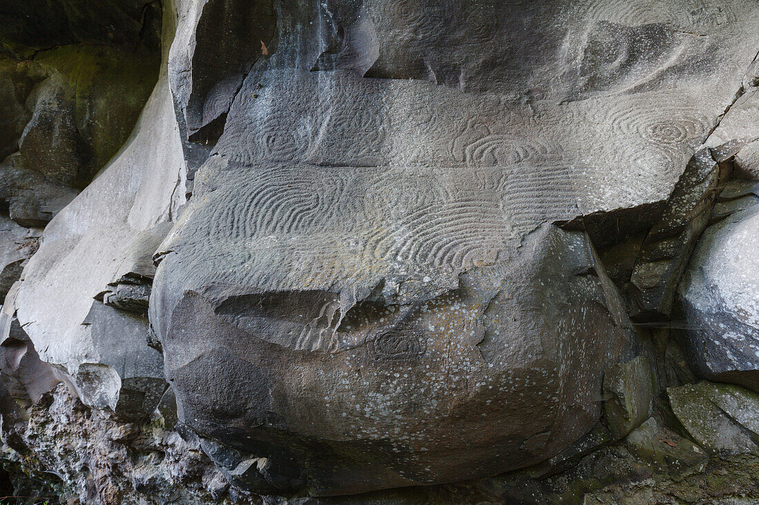 Petroglyphen, Parque Cultural La Zarza, Kulturpark La Zarza, Kunst der Ureinwohner, prähistorisch, bei La Mata, UNESCO Biosphärenreservat, La Palma, Kanarische Inseln, Spanien, Europa