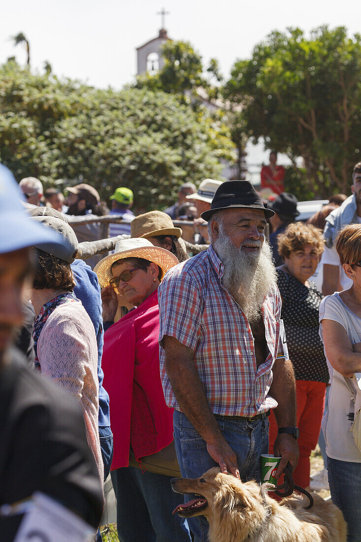 contest of shepherd dogs of the Garafia breed, livestock fair in San Antonio del Monte, Garafia region, UNESCO Biosphere Reserve, La Palma, Canary Islands, Spain, Europe