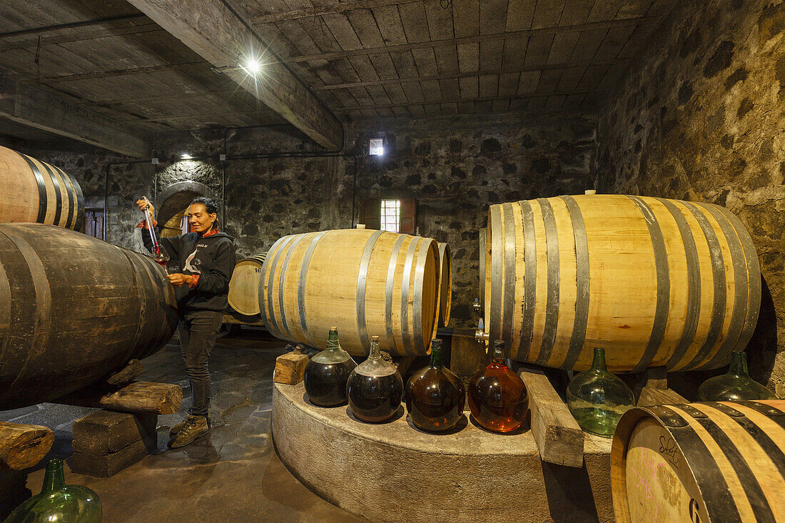 wine barrels, woman takes a wine sample, Bodega Matias i Torres, Fuencaliente, UNESCO Biosphere Reserve, La Palma, Canary Islands, Spain, Europe