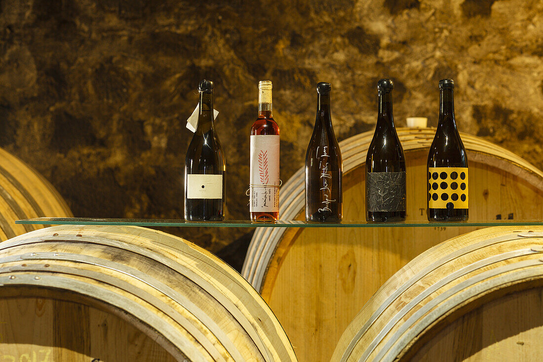 wine bottels and barrals, Bodega Matias i Torres, Fuencaliente, UNESCO Biosphere Reserve, La Palma, Canary Islands, Spain, Europe
