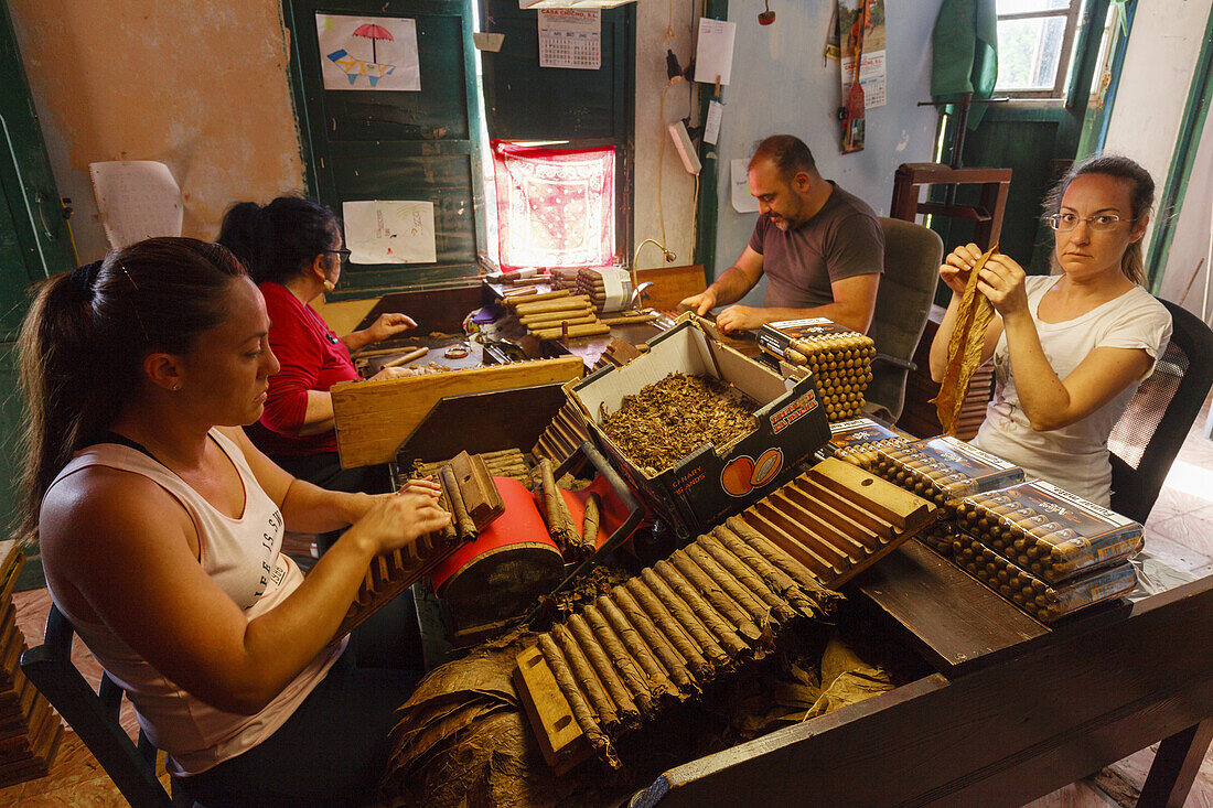 Arbeiter, Zigarrenmanufaktur, Brena Alta, UNESCO Biosphärenreservat,  La Palma, Kanarische Inseln, Spanien, Europa