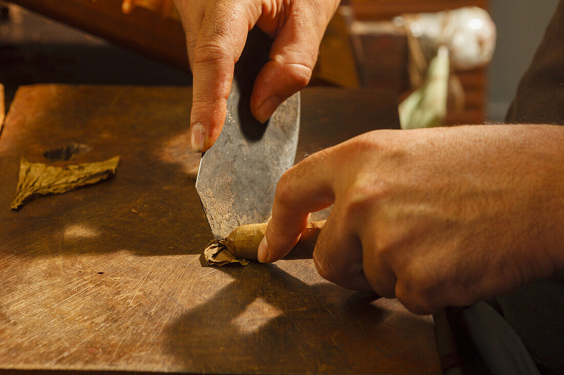 manufacture of cigars, cutting a cigar, knife, hands, Brena Alta, UNESCO Biosphere Reserve, La Palma, Canary Islands, Spain, Europe