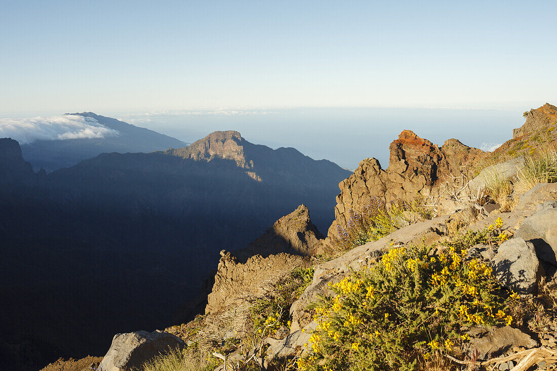 Blick über den Krater nach Süden zum Wolken-Wasserfall der Cumbre Nueva, Düsenginster, lat. Adenocarpus viscosus, endemische Pflanze, b. Fuente Nueva, Kraterrand, Caldera de Taburiente, UNESCO Biosphärenreservat, La Palma, Kanarische Inseln, Spanien, Euro