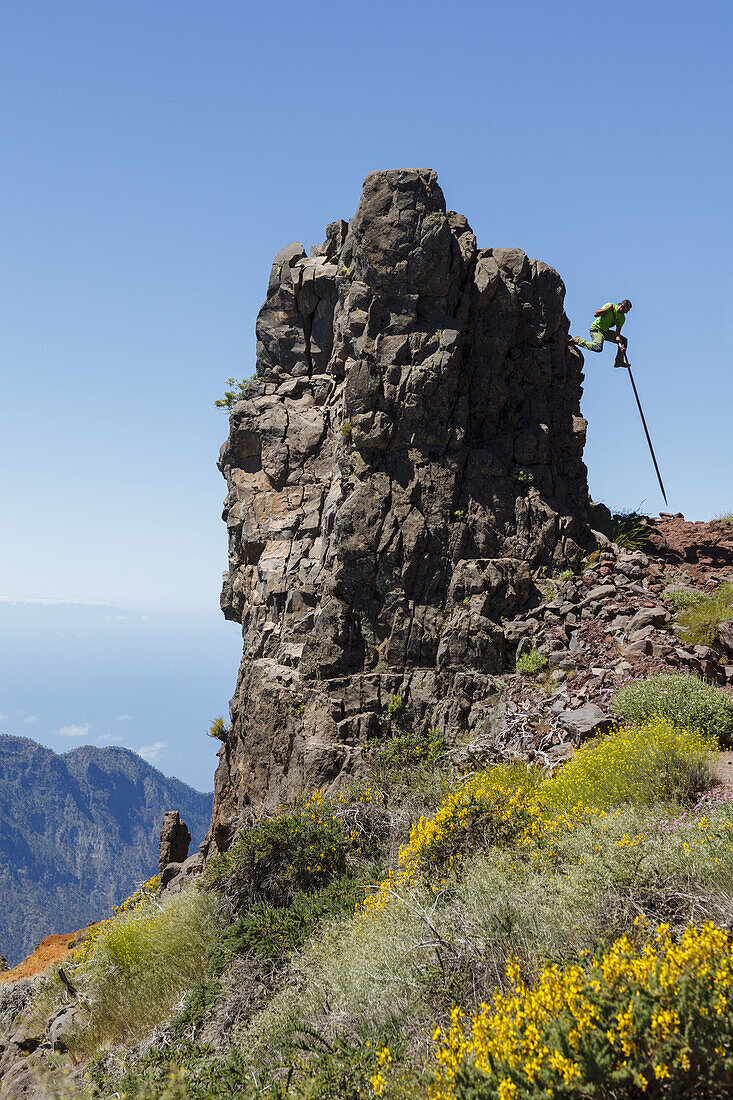 Springen mit dem Kanarischen Hirtenstab, Mann, Salto del Pastor Canario, Kraterrand der Caldera de Taburiente, UNESCO Biosphärenreservat, La Palma, Kanarische Inseln, Spanien, Europa