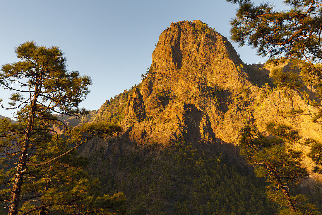 Blick zum Punta de los Roques, Berg,  2085m, Wanderung zum Pico Bejenado, Berg, Kraterrand der Caldera de Taburiente, Parque Nacional de la Caldera de Taburiente, Nationalpark, UNESCO Biosphärenreservat,  La Palma, Kanarische Inseln, Spanien, Europa