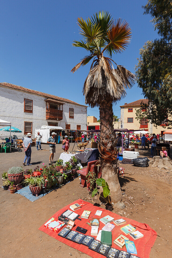 Mercadillo, Flea market, Plaza Sotomayor, Llano de Argual, Los Llanos de Aridane, UNESCO Biosphere Reserve, La Palma, Canary Islands, Spain, Europe