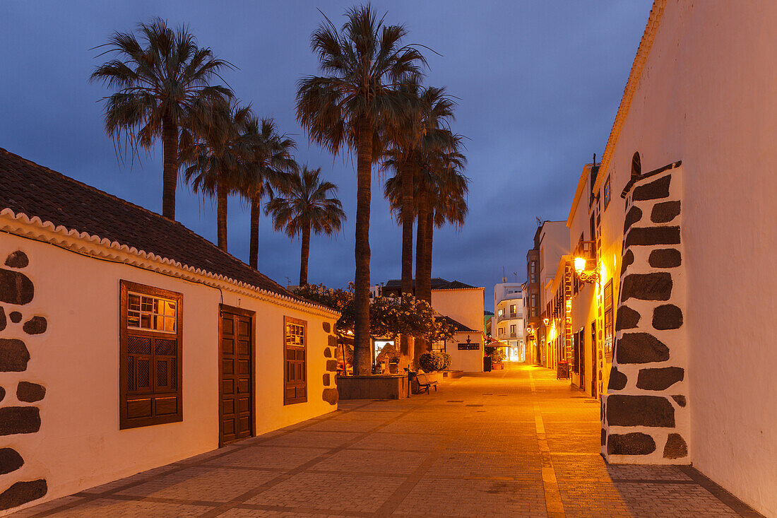 Fan palms, Plaza Chica, Plaza Elias Santos Abreu, square, Calle Fernandez Tano, old town, Los Llanos de Aridane, UNESCO Biosphere Reserve, La Palma, Canary Islands, Spain, Europe